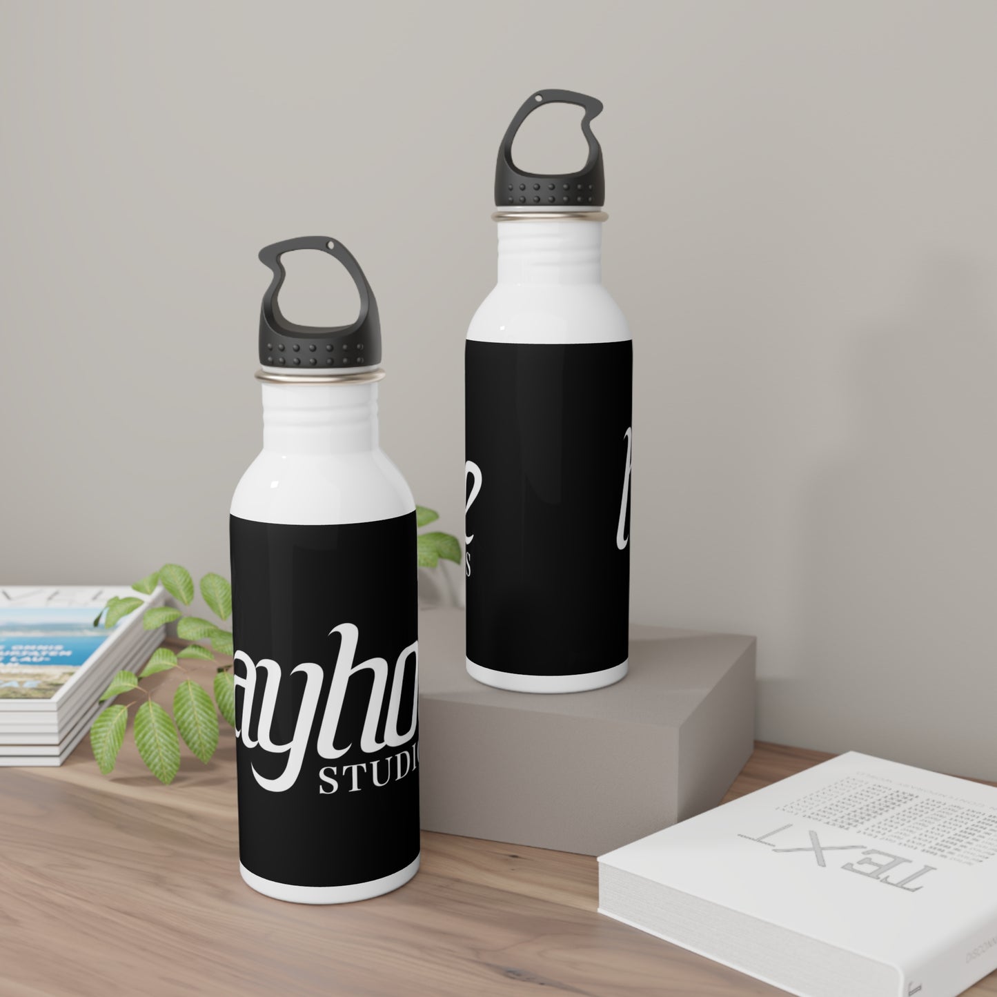 Hayhoe Studios Official Stainless Steel Water Bottle